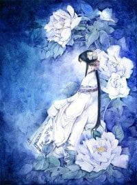 仙踪:寻师不见